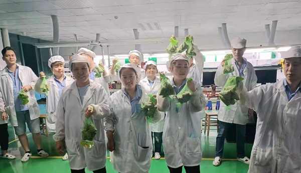香蕉网站免费观看新能源锂香蕉视频下载安装厂家,向锂电芯生产线发放端午福利