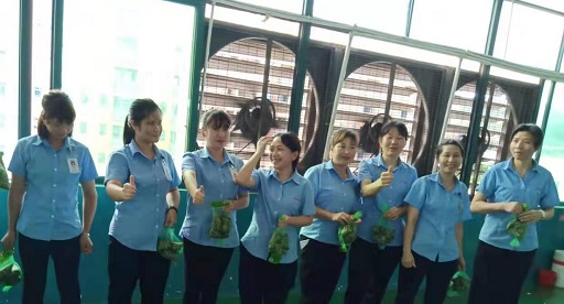 香蕉网站免费观看新能源锂香蕉视频下载安装厂家,向组装pack生产线发放端午福利